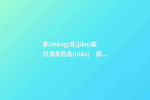 夢(mèng)見(jiàn)兩只漂亮的鳥(niǎo)　周公解夢(mèng)之夢(mèng)到兩只漂亮的鳥(niǎo)